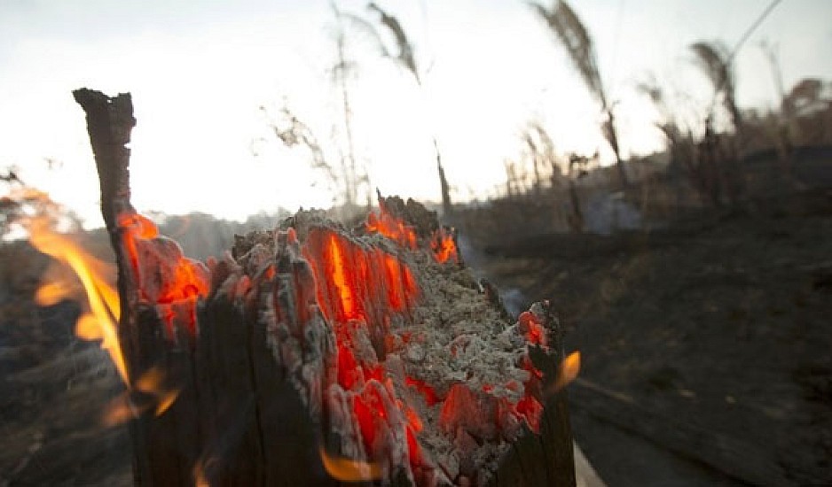 Αμαζόνιος: Οι φλόγες συνεχίζουν το καταστροφικό τους έργο - 1.113 νέες εστίες φωτιάς