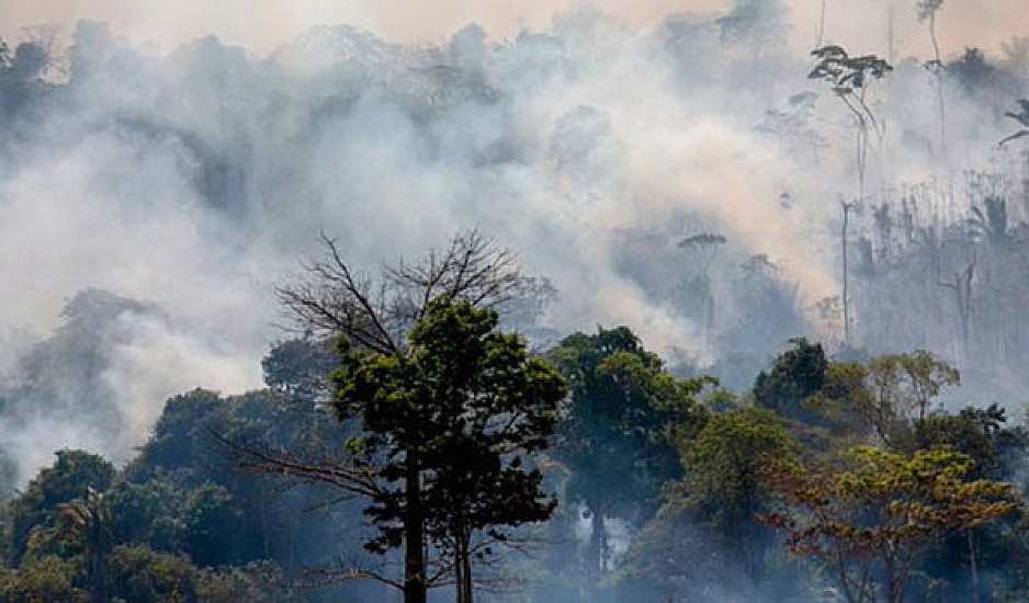 ΟΗΕ: 500 εκατ. δολάρια για τη σωτηρία των τροπικών δασών στον Αμαζόνιο