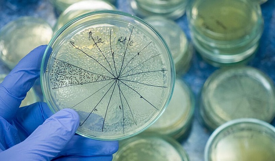Εξελιγμένο βακτήριο που προκαλεί διάρροια εξαπλώνεται στα νοσοκομεία