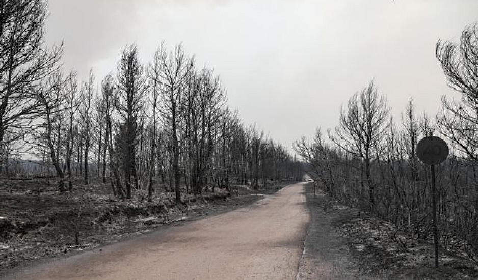 Απόλυτη καταστροφή στη Λέσβο από τη μεγάλη φωτιά στα Βατερά