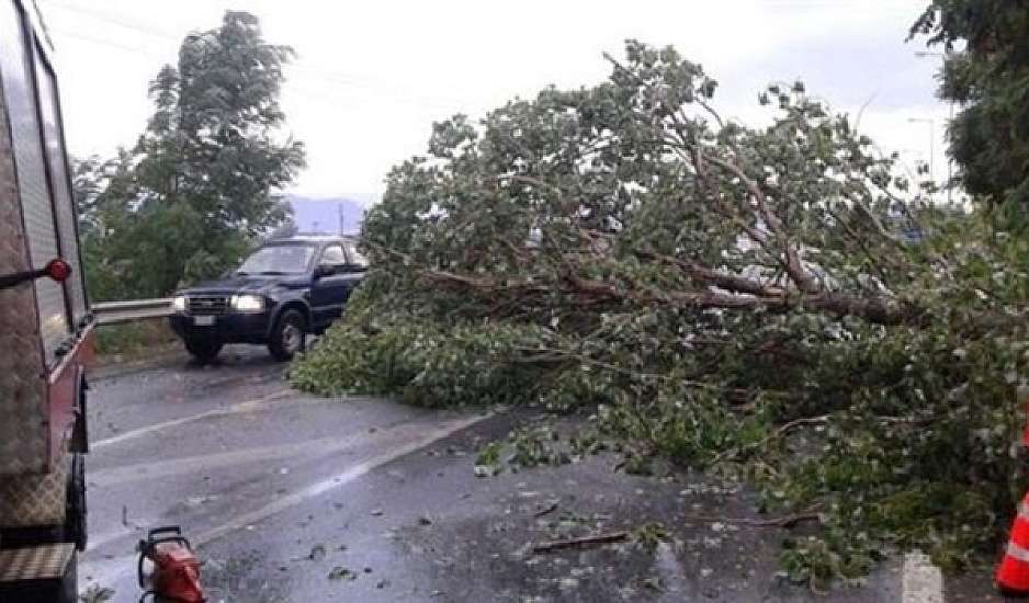 Βόλος: Καταστροφικό μπουρίνι με πλημμύρες, πτώσεις δέντρων και εγκλωβισμένα αυτοκίνητα