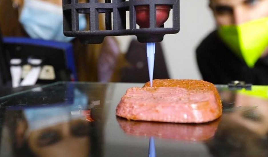 Τι κρέας θα τρώμε στο μέλλον: Εκτυπωμένες μπριζόλες από βλαστοκύτταρα και σκουλήκια