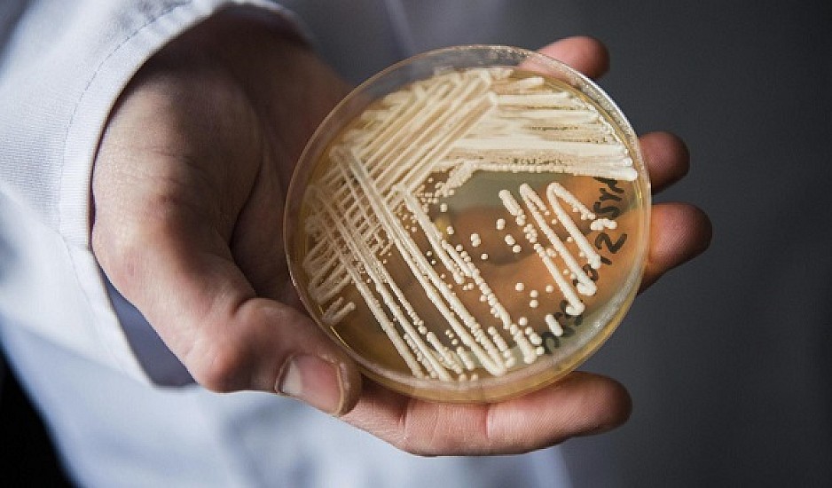 Candida Auris: Βόμβα στα νοσοκομεία – Ανθεκτικός μύκητας θα προκαλέσει πλήθος θανάτων
