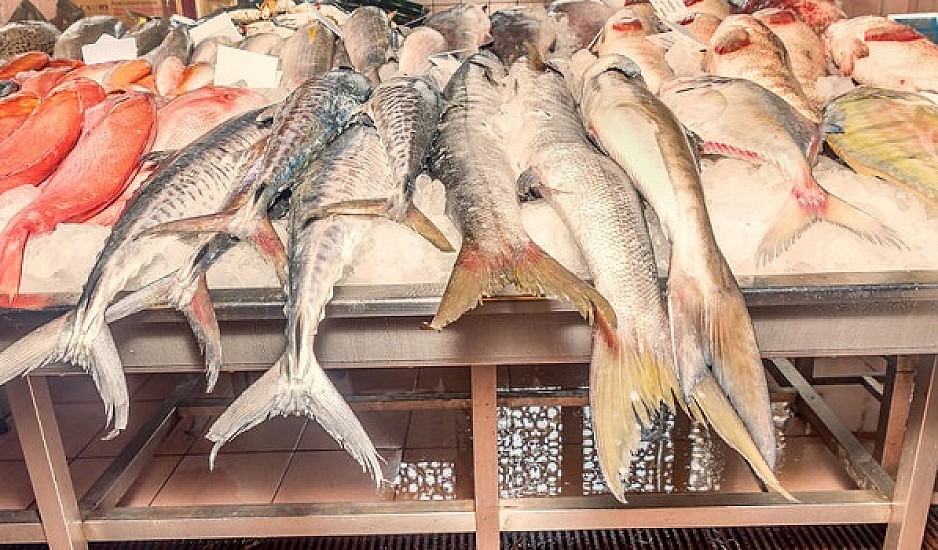 Ανακαλούνται μη ασφαλή κατεψυγμένα ψάρια