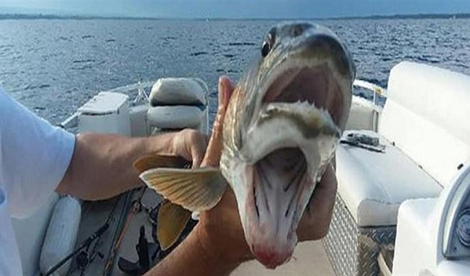 Ψάρι με δύο στόματα πιάστηκε σε λίμνη των ΗΠΑ