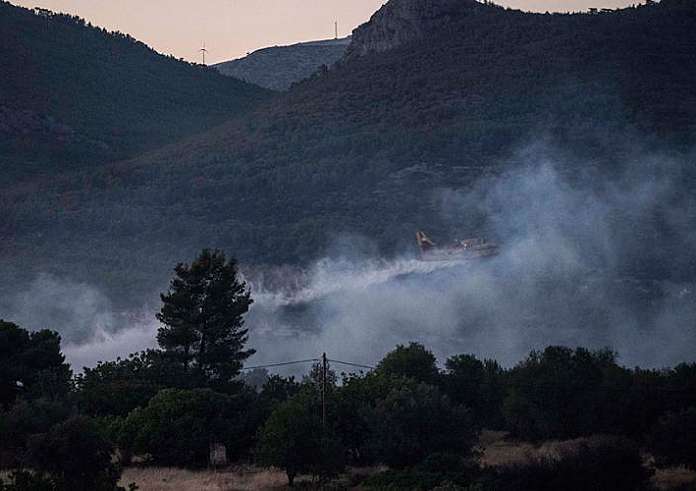 Φωτιά στον Έβρο: Τεράστια οικολογική καταστροφή στο δάσος της Δαδιάς