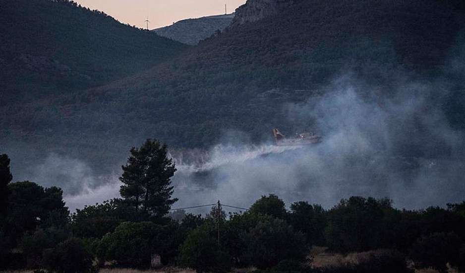 Φωτιά στον Έβρο: Τεράστια οικολογική καταστροφή στο δάσος της Δαδιάς