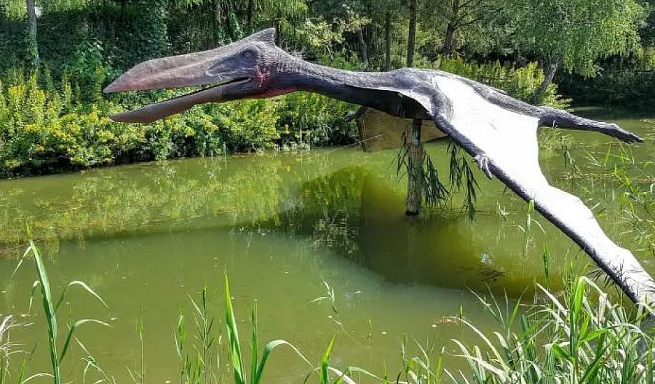 Δράκος του Θανάτου:  Βρήκαν τρομακτικό πτερόσαυρο με μήκος λεωφορείου στην Αργεντινή