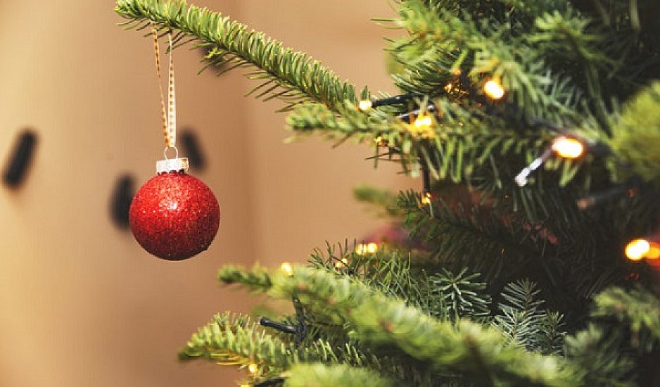 Μέχρι και 25.000 ζωύφια μπαίνουν στα σπίτια μας με κάθε χριστουγεννιάτικο δέντρο - Τι πρέπει να ξέρετε