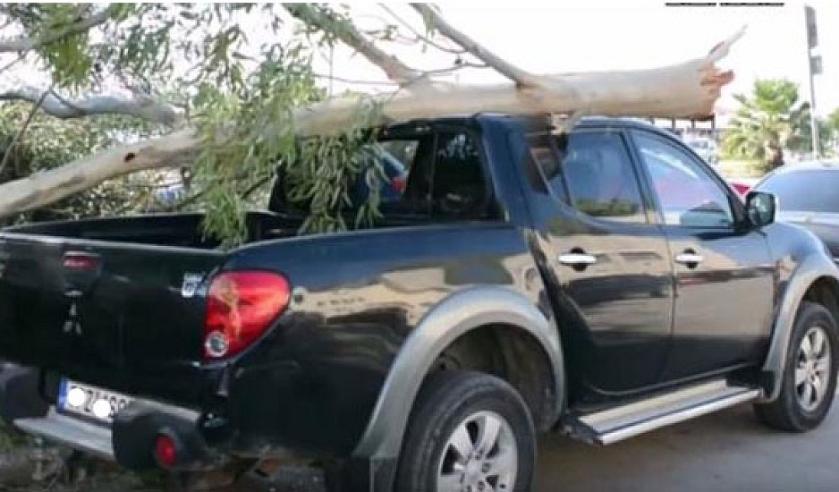 Ναύπλιο: Δέντρο έσπασε απ’ τον αέρα και καταπλάκωσε αυτοκίνητο