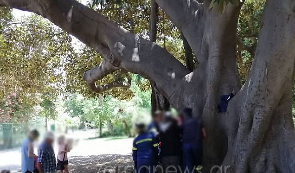 Απίστευτη περιπέτεια για παιδάκι που σφήνωσε σε δέντρο