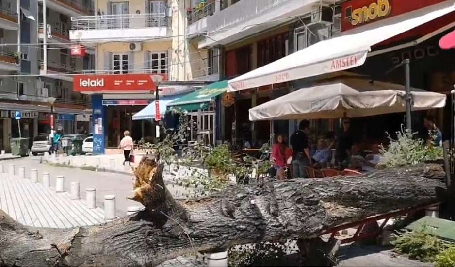 Δέντρο έπεσε σε καφέ στο κέντρο της Θεσσαλονίκης