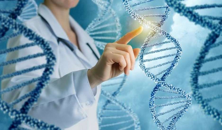 Συνεχίζονται οι αντιδράσεις για τις δηλώσεις Πνευματικού – Είναι ρεσιτάλ κανιβαλισμού