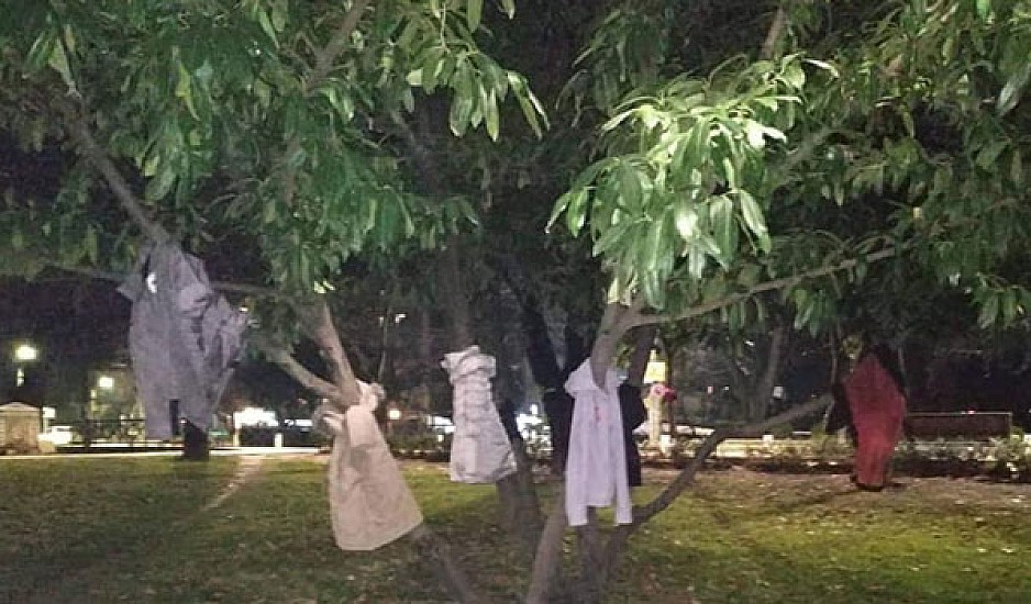 Αυτοί είναι οι Έλληνες! Γιατί στολίζονται τα δέντρα της Έδεσσας με μπουφάν
