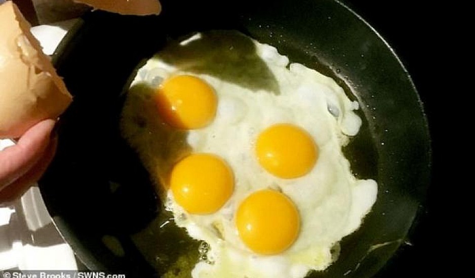 Βρήκαν αυγό με 4 κρόκους. Μια στα 11 δισεκατομμύρια οι πιθανότητες να συμβεί