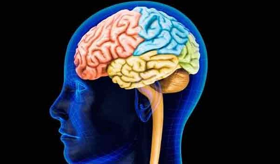 Ποιο ημισφαίριο του εγκεφάλου σας χρησιμοποιείτε περισσότερο; Κάντε το τεστ