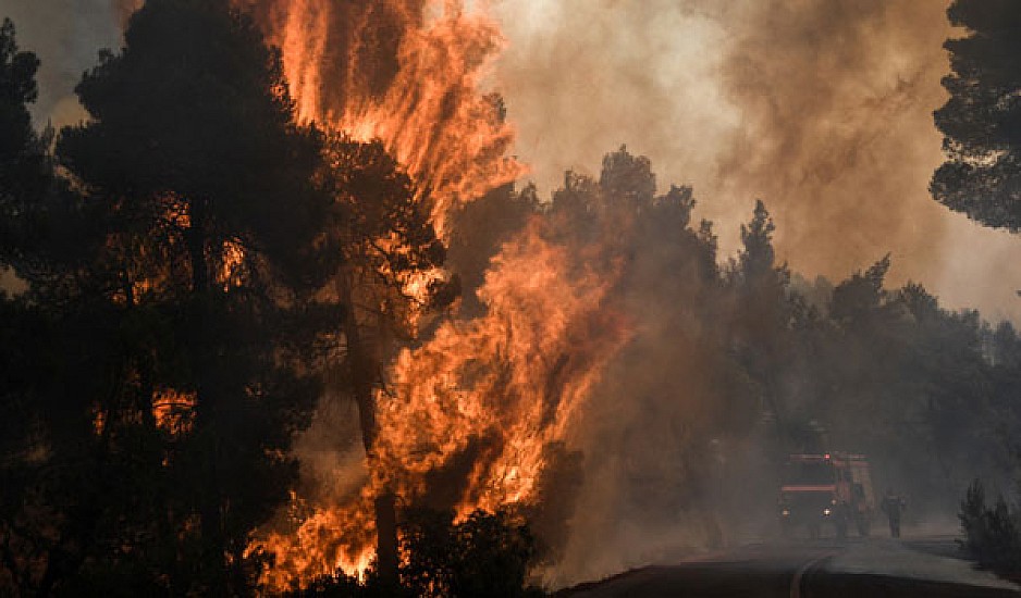 Σοκαριστικό βίντεο: Στάχτη το δάσος Natura στην Εύβοια – Πώς κινείται η πυρκαγιά