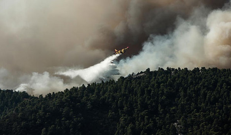 Εύβοια: Σε χαράδρα η φωτιά και με εναέρια μέσα η προσπάθεια κατάσβεσης - Στάχτη 28.000 στρέμματα