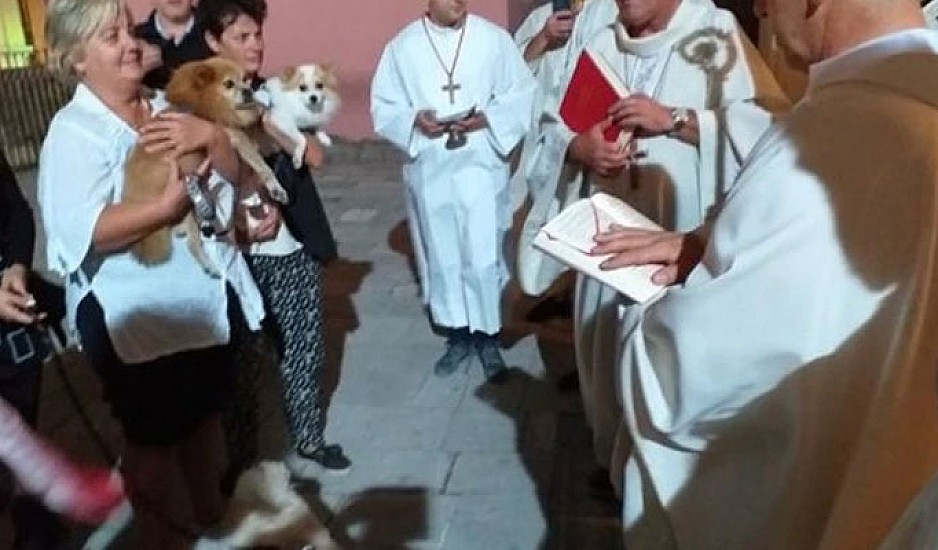 Παγκόσμια Ημέρα Ζώων: Στην Κέρκυρα ευλογούν τα κατοικίδιά τους στην εκκλησία