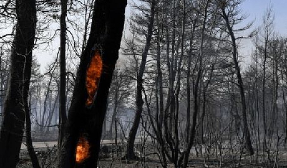 Φωτιά στην Εύβοια: Τα στοιχεία που δείχνουν εμπρησμό και τα τρία ύποπτα άτομα