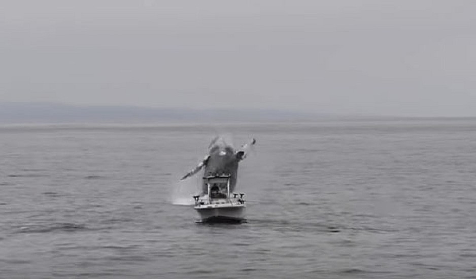 Το βίντεο που έγινε viral: Φάλαινα πηδά δίπλα σε βάρκα ψαρά