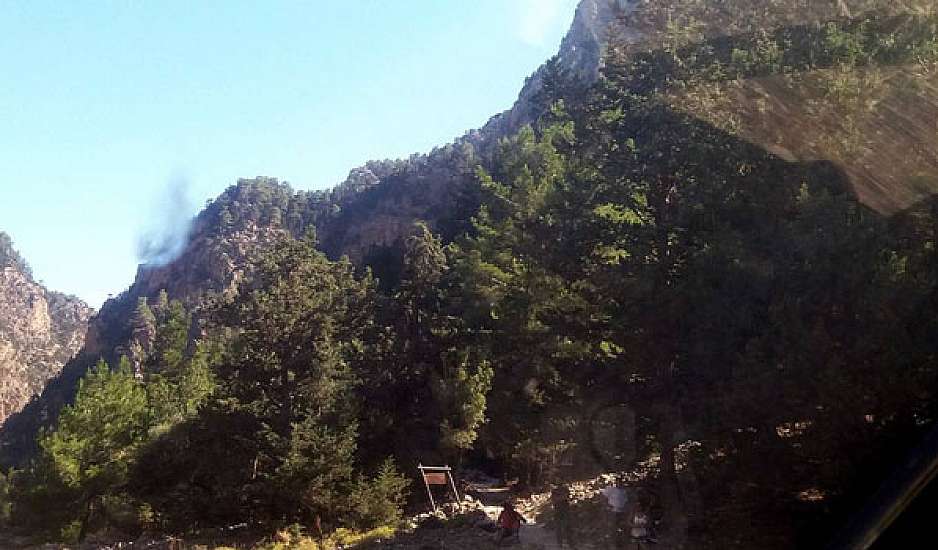 Χανιά – Σκότωσαν κρι-κρι μέσα στο Φαράγγι της Σαμαριάς