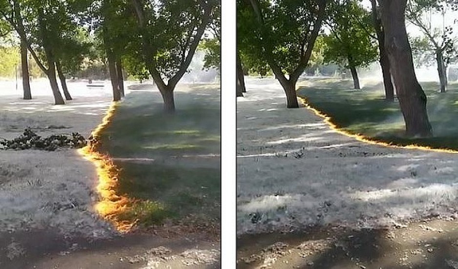 Απίστευτο φαινόμενο: Η φωτιά σαρώνει το πάρκο αλλά αφήνει άθικτο το γρασίδι και τα δέντρα
