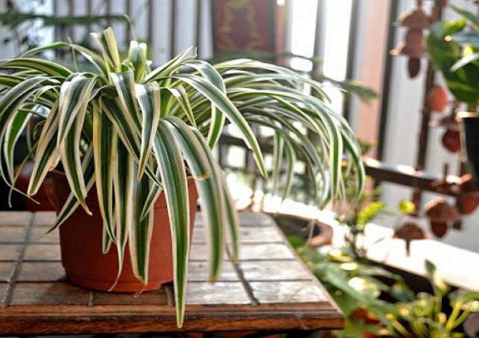5 eco friendly ιδέες διακόσμησης για τέλειο σπίτι