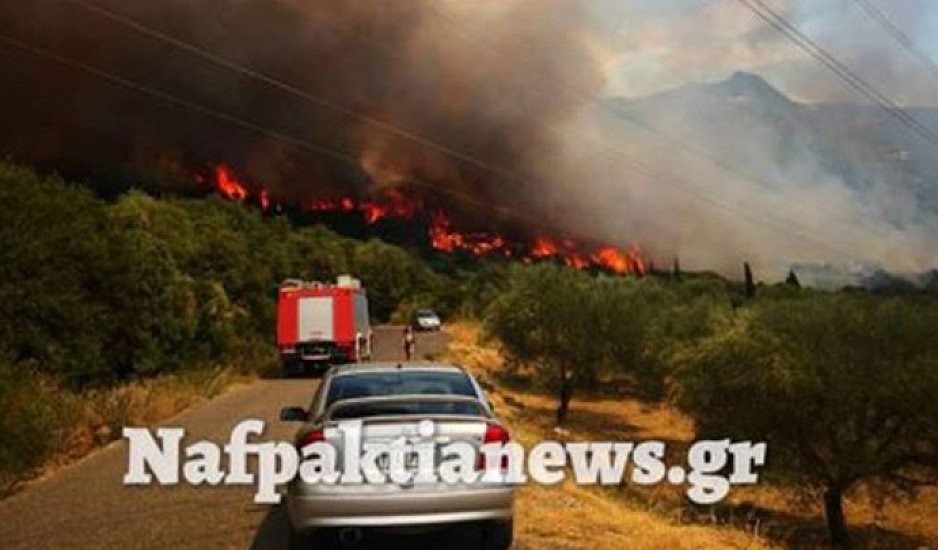 Ανησυχία για τη μεγάλη φωτιά στη Φωκίδα: Εκκενώνονται δύο χωριά