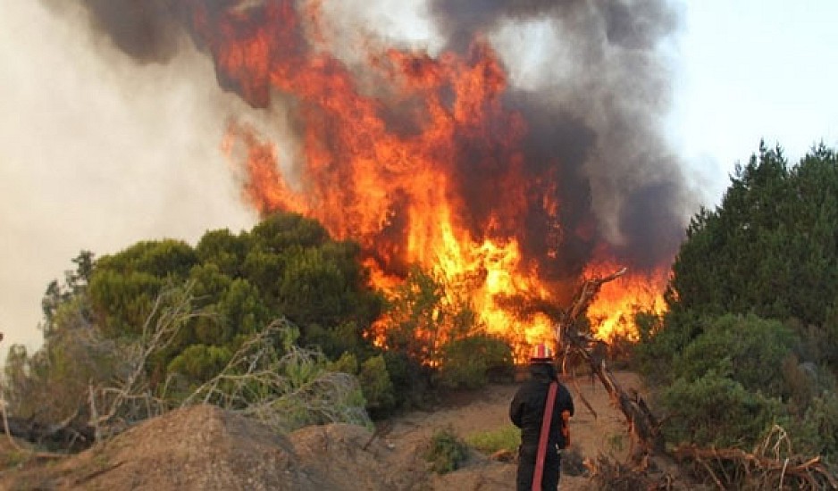 Μεγάλη φωτιά ξέσπασε στην Ηλεία, στο προστατευόμενο Δάσος της Στροφυλιάς