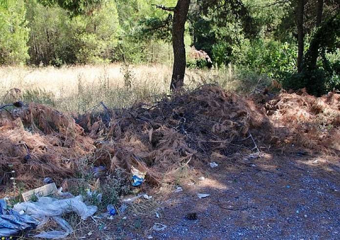 Φωτιά τώρα: Πυρκαγιά στη Σαλαμίνα - Κοντά στα σπίτια οι φλόγες