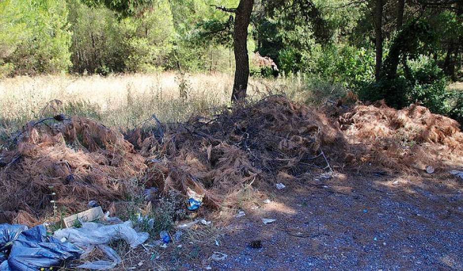 Φωτιά τώρα: Πυρκαγιά στη Σαλαμίνα - Κοντά στα σπίτια οι φλόγες