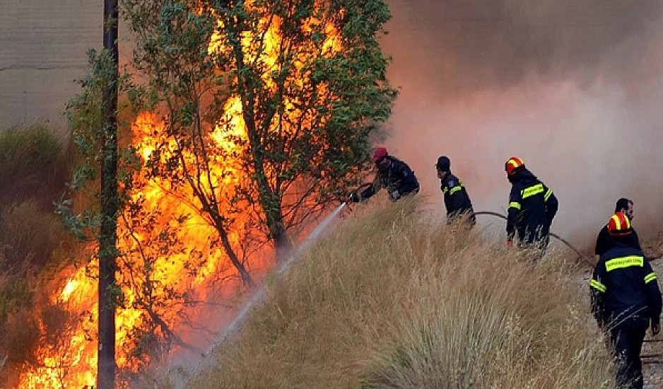 Ρέθυμνο: Υπό μερικό έλεγχο η πυρκαγιά στις Μέλαμπες, σε ύφεση στο Αρχοντικό