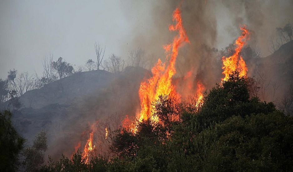 Νέα πυρκαγιά στην Κεφαλονιά, εκκενώνονται σχολεία. Ισχυροί άνεμοι