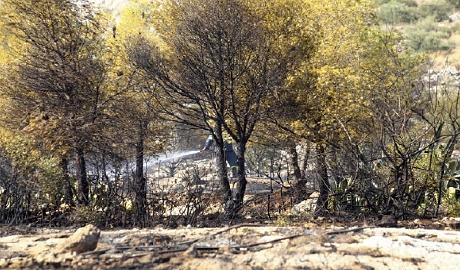Μεσολόγγι: Φωτιά κοντά στον αρχαιολογικό χώρο των Οινιαδών