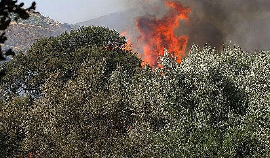 Μαίνεται  η φωτιά στο Μαρτίνο - Κλειστή  η Εθνική Οδός Αθηνών- Λαμίας στο ύψος Κάστρου