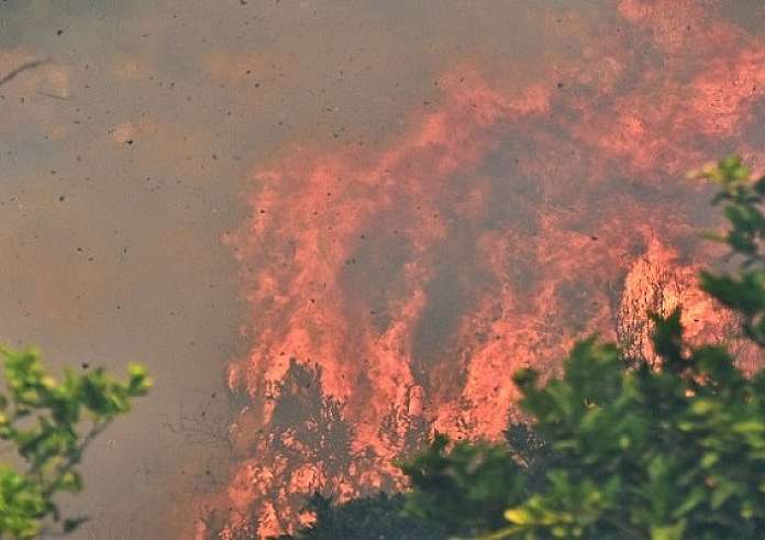 Σοκάρει ο εμπρηστής στην Κάρυστο: Μου άρεσε να βλέπω τα πυροσβεστικά να σβήνουν τις φλόγες