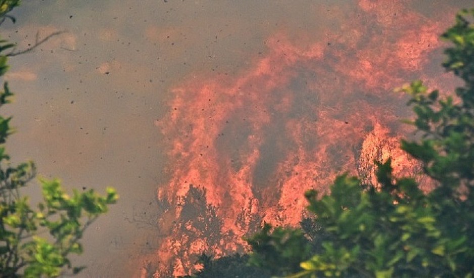 Μεγάλη φωτιά στην περιοχή Θυρίου Αιτωλοακαρνανίας σε δασική έκταση