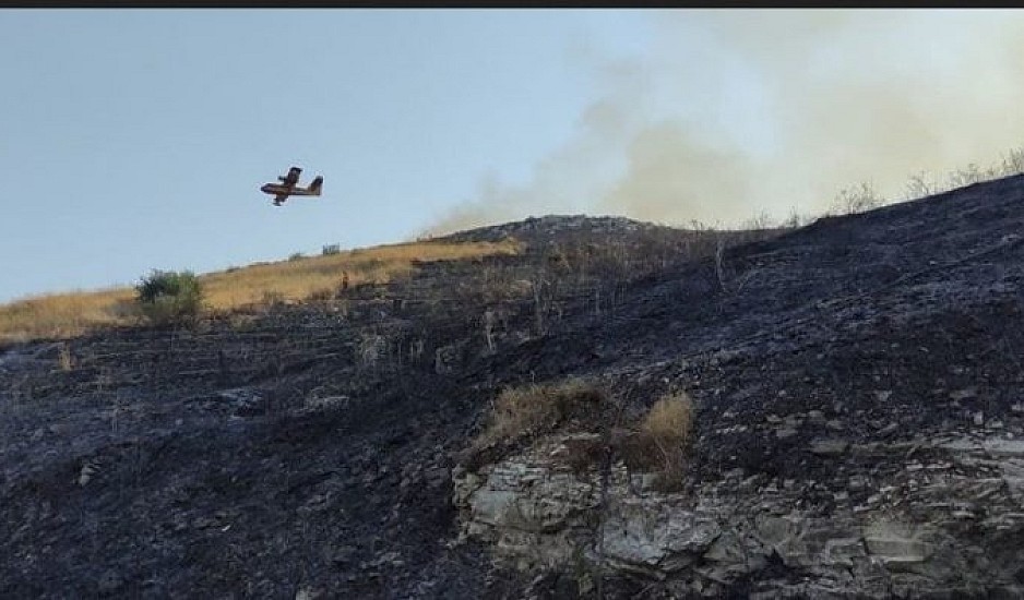 Ζάκυνθος: Έπεσε αεροσκάφος PZL που επιχειρούσε στη φωτιά - Σώος ο πιλότος