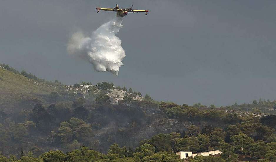 Εμπρησμό βλέπει η Πυροσβεστική για την φωτιά στην Κάρυστο - Ενισχύονται οι δυνάμεις