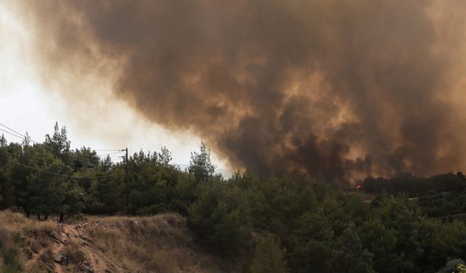 Εικόνες σοκ στην Ιπποκράτειο Πολιτεία: Σε δευτερόλεπτα οι φλόγες φτάνουν δίπλα σε τηλεοπτικό συνεργείο