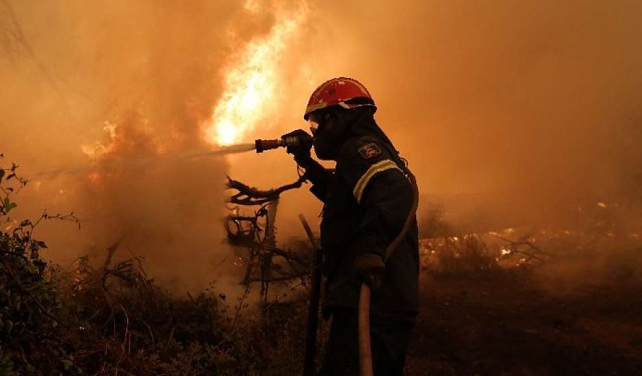 Εύβοια: Μικρές ζημιές από το πέρασμα της φωτιάς από το Πευκί