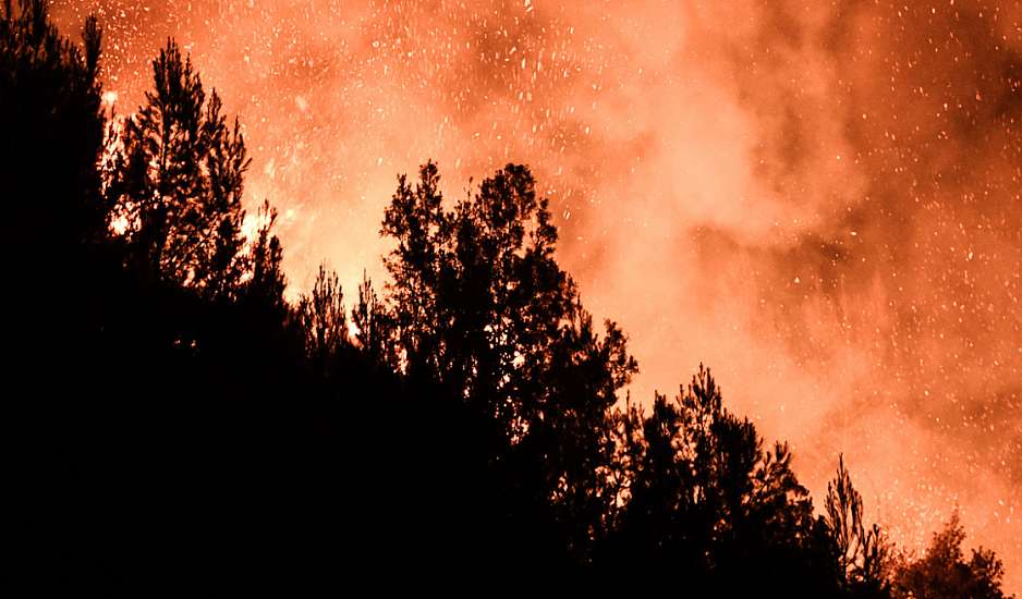 Φωτιές: Δύσκολη νύχτα σε Ηλεία, Έβρο και Λέσβο – Επικίνδυνη και η Δευτέρα