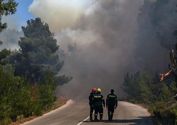 Φωτιά στον Έβρο: Αυξάνεται ο αριθμός των νεκρών μεταναστών – Δεκάδες βρέθηκαν απανθρακωμένοι στο δάσος της Δαδίας