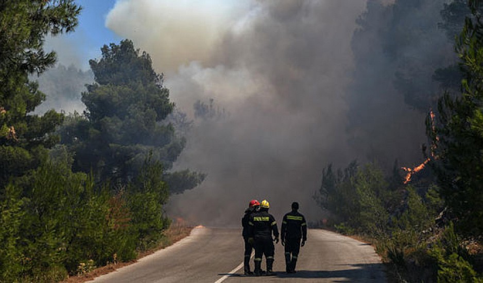 Τεράστια οικολογική καταστροφή σε Έβρο και Μυτιλήνη: Έχουν καεί πάνω από 42.000 στρέμματα