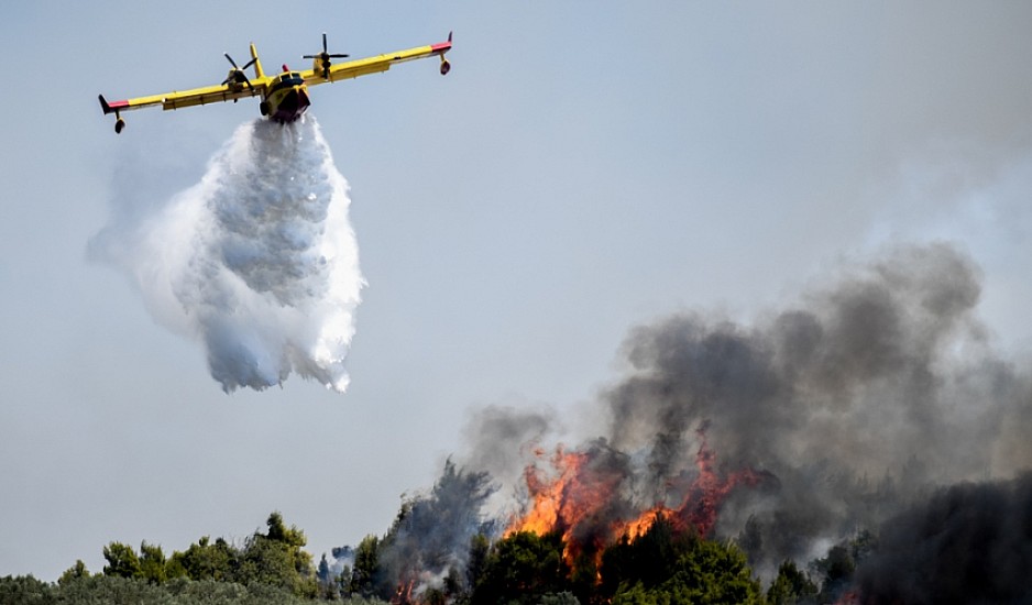 Ισχυρές δυνάμεις πυρόσβεσης στην πυρκαγιά στη Λύρα Σουφλίου - Μάχη για το δάσος της Δαδιάς