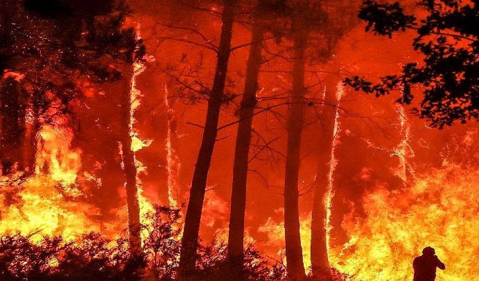 Αττική: Οι πυρκαγιές εξαφάνισαν το 37% των δασών της από το 2017 έως το 2024