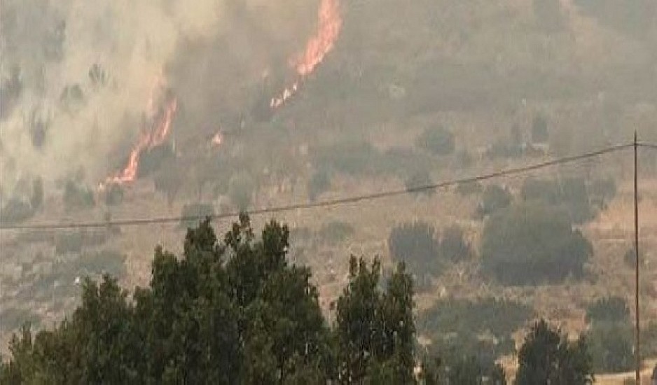 Μεγάλη φωτιά στους Δελφούς - Απειλείται ο Εθνικός Δρυμός του Παρνασσού. 4 Πύρινα μέτωπα ακόμη