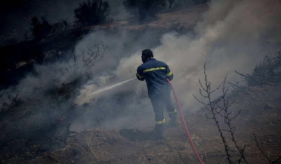 Εύβοια: Σε ύφεση τα μέτωπα της πυρκαγιάς
