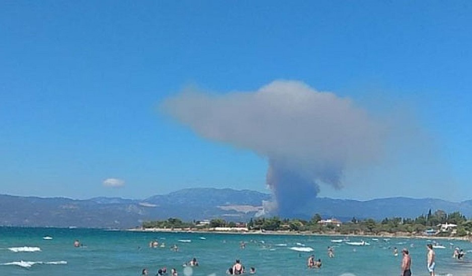 Δήμαρχος Διρφύων – Μεσσαπίων: Οι άνεμοι οδηγούν τις φλόγες κατευθείαν στα σπίτια